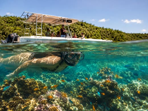 Tortue marine au-dessus du corail, vue mi-eau depuis le bateau